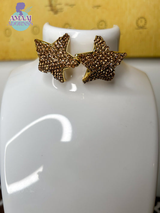 Twinkle Star Earring